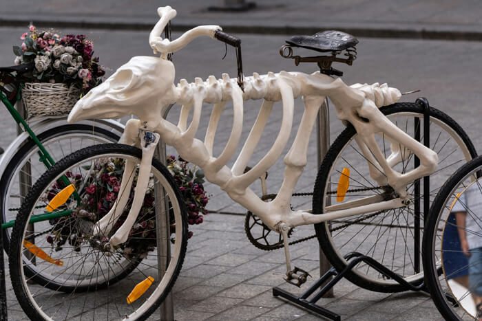 a white skeleto bike for halloween